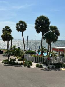 a parking lot with palm trees in front of the ocean at Ohara Properties at Sailport Suites where your sunset views awaits!! in Tampa