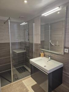 a bathroom with a shower and a sink and a mirror at Maisonnette L'Olivier in Lauris