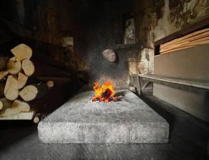 Billede fra billedgalleriet på Vintage house Brijesta i Bogićevići