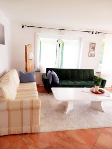 a living room with a green couch and a coffee table at Lichtdurchflutete grosse Wohnung in Isny im Allgäu
