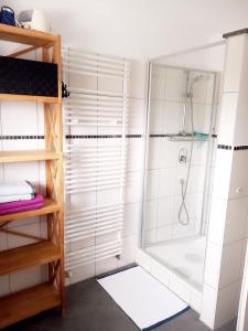 a bathroom with a shower and a shower at Lichtdurchflutete grosse Wohnung in Isny im Allgäu