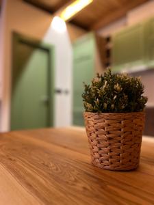 Fotografie z fotogalerie ubytování Piva Paradise v destinaci Plužine