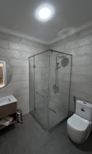 a bathroom with a shower with a toilet and a sink at Гостевой дом Добрые Традиции Good Traditions Guest House in Itʼkhvisi