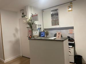Dapur atau dapur kecil di Hostal la Palmera