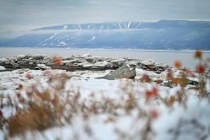 een uitzicht op een waterlichaam met sneeuw bij Condo Bord de fleuve Piscine - Les Voitures d'Eau in L'Isle-aux-Coudres