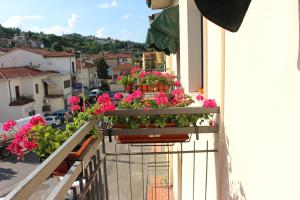 Gallery image of B&B I' Chivi in Incisa in Valdarno