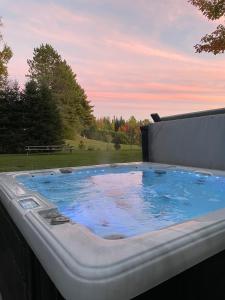 Saint-CalixteMagnificent Riverside Bright Chalet with Spa的 ⁇ 顶上的热水浴池