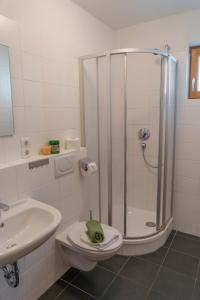 Vannituba majutusasutuses Jana 2 by SMR Rauris Apartments - inc Spa and near Gondola +24 fotot