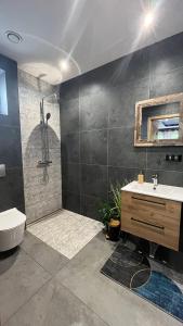 a bathroom with a shower and a toilet and a sink at Domki i dom w sadzie Stegna z podgrzewanym basenem - prywatne jacuzzi przy domu in Stegna