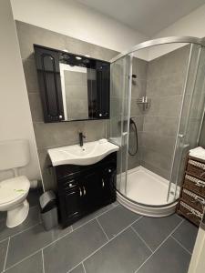 a bathroom with a shower and a sink and a toilet at La Conac Sibiu in Sibiu +80 photos
