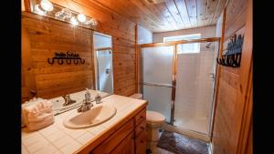 a bathroom with a sink and a shower and a toilet at Island Park Hideaway -Bill's Island -Hot Tub -BBQ in Island Park +36 photos