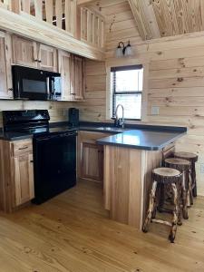 Η κουζίνα ή μικρή κουζίνα στο Tiny Cabin #4 by Windham NY Escape 'Cabin Comfort'