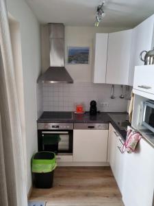 O bucătărie sau chicinetă la Martina 1 by SMR Rauris Apartments - inc Spa and near Gondola