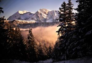 a view of a mountain range with trees and fog at Chalet Chamrousse – Balcon avec vue Proche Pistes in Chamrousse