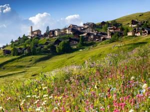 a field of flowers on a hill with houses at Casa-La Fuste centre Saint-Véran ski au pied in Saint-Véran