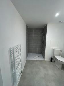 a bathroom with a toilet and a shower at We Live In R - Suite 103 in Reims