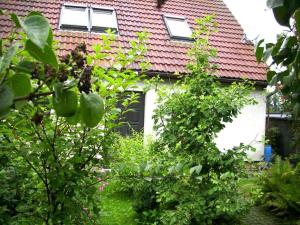ein Haus mit rotem Dach und einigen Pflanzen in der Unterkunft Apartment at the Knappensee in Groß Särchen in Neufriedersdorf