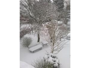 Apartment at the Knappensee in Groß Särchen im Winter