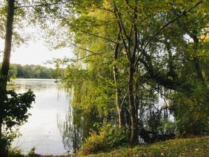 - Vistas al lago a través de los árboles en City Stay in Zwickau, en Zwickau