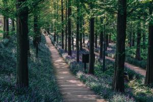 Příroda nedaleko hotelu