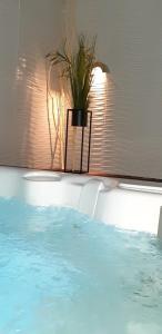 Bazén v ubytování Apartman & Spa Zlatiborske zore nebo v jeho okolí