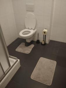 a bathroom with a toilet and a bath tub at BLR Apart in Graz