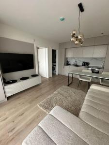 a living room with a couch and a flat screen tv at Apartamentai INFINITUM SEA in Palanga