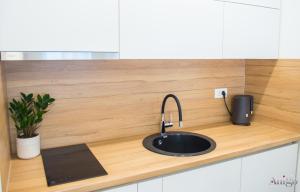 a kitchen counter with a sink and a speaker at Stari View-Free Parking in Mostar +33 photos