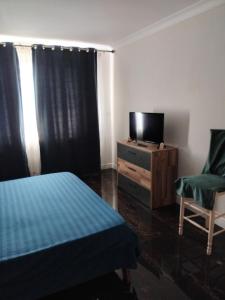 a bedroom with a bed and a tv and a chair at Residence 3 dormitoare in Târgu Neamț