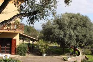 a house with a tree next to a building at B&B Coldulivo in Capoterra