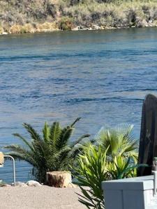 Φωτογραφία από το άλμπουμ του Fisher Paradise Oasis on the River σε Bullhead City