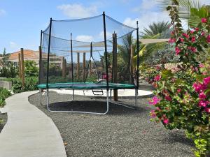 Stolní tenis v ubytování Boutique appartment 4P with PRIVATE POOL, near Jan Thiel & Mambo beach nebo okolí