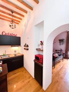 Η κουζίνα ή μικρή κουζίνα στο Lunar artistic loft +12 φωτογραφίες