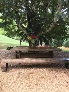 a wooden picnic table under a tree with flowers on it at Sítio Refúgio - Experiência in Serra Grande +1 photo