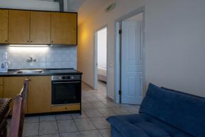 Kuchyň nebo kuchyňský kout v ubytování Mythos Suites-Poseidon apartment