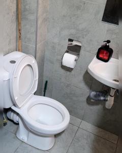 a bathroom with a toilet and a sink at Tusmo homes in Ongata Rongai  +16 photos