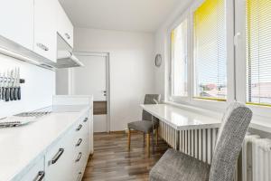 Η κουζίνα ή μικρή κουζίνα στο Apartment Kovářská, view of Klínovec