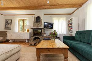 a living room with a green couch and a fireplace at Cisza żurawi in Piszewo