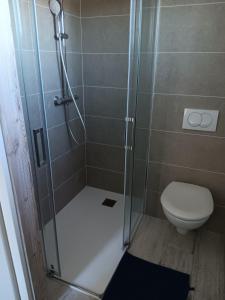 a bathroom with a shower and a toilet at Chalet vue lac à 200 mètres des remontées in Les Angles