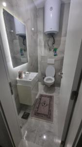 Ένα μπάνιο στο Etno apartmemt +5 φωτογραφίες