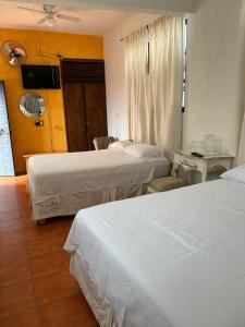 Fotografie z fotogalerie ubytování Hotel Na-anché Aeropuerto v destinaci Oaxaca