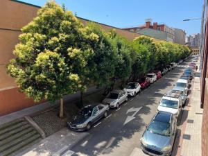 a row of cars parked on a street with trees at El Ventanal de Pelayo in Gijón