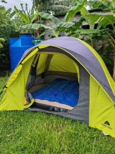 a yellow and gray tent sitting in the grass at Mochileros de Nicaragua in Moyogalpa