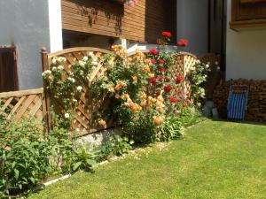 Zahrada ubytování Appartements Sailer