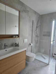 a bathroom with a sink and a toilet and a shower at Sitara's Chalet in Bled +44 photos