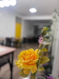 Gallery image of Hotel Coqueiros in Valparaíso de Goiás +109 photos