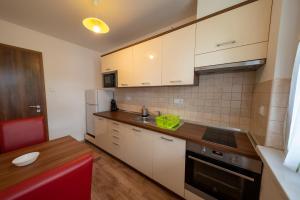 Kuchyň nebo kuchyňský kout v ubytování Veritas Apartment Zamárdi