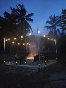 a group of people sitting around a fire at night at The CozyNest Camiguin Homestay in Mambajao