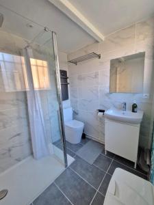 a bathroom with a shower and a toilet and a sink at Gite Bernard Lafon in Castillon-la-Bataille +12 photos