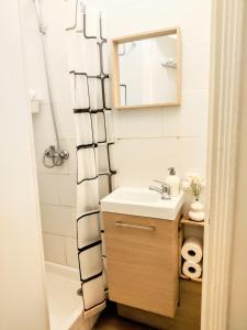 巴黎Le cocon du 17的浴室配有洗手池、镜子和淋浴。